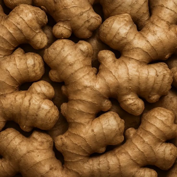 Gingers